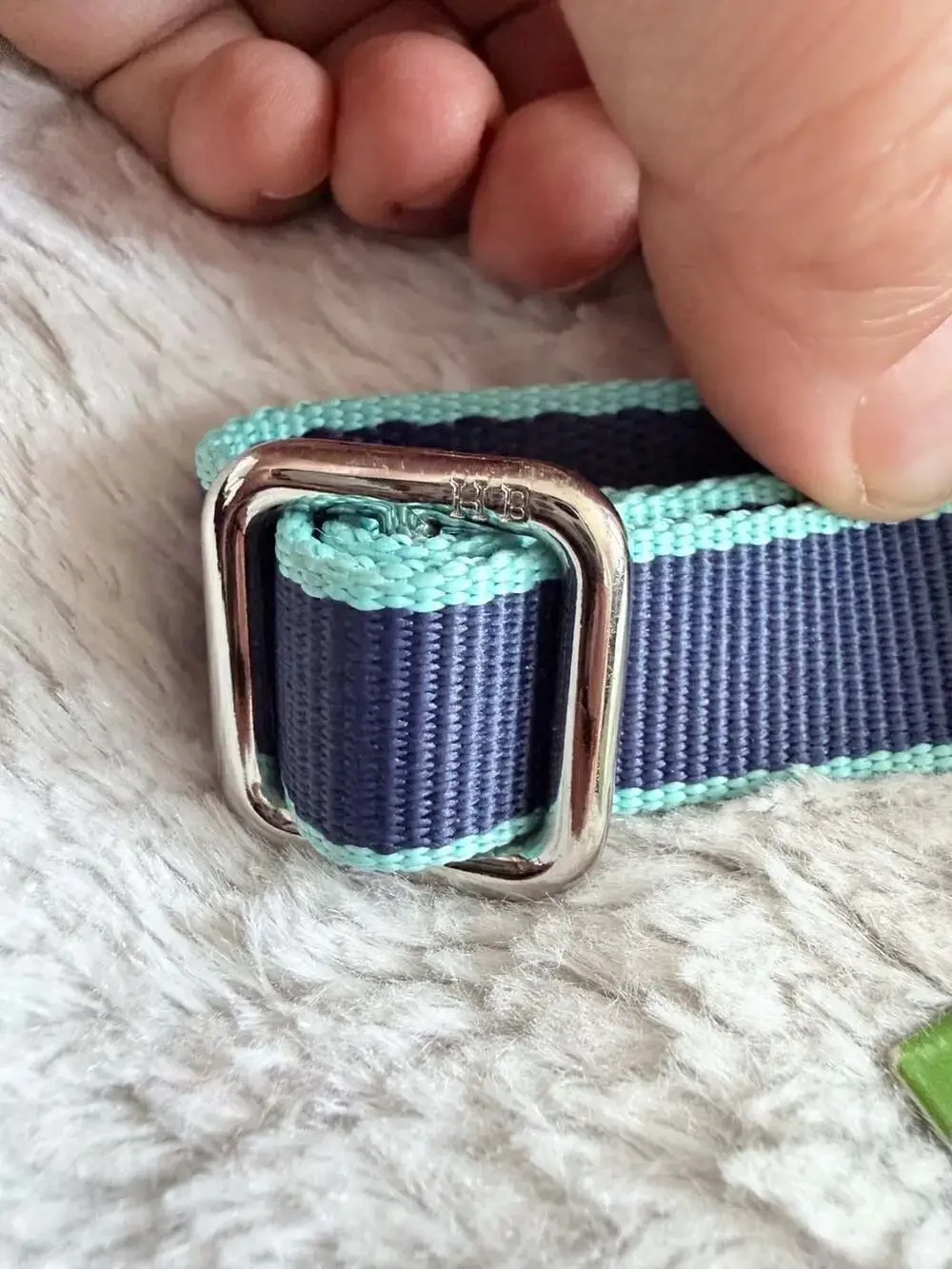 Harry Barker Adjustable Dog Collar, Navy and Turquoise, 3/4 inch, 8-14 inch
